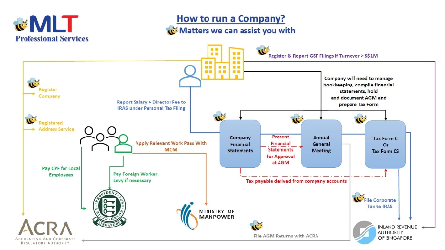 MLT Professional Services Singapore corporate consulting and statutory filing team
